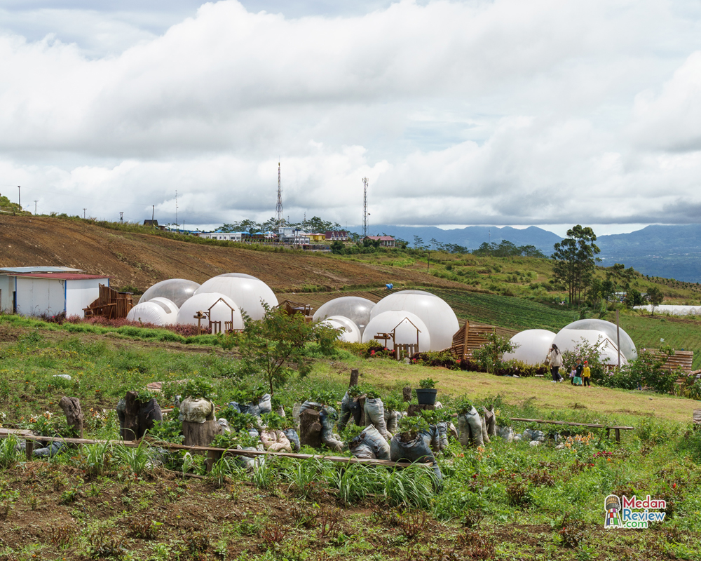 Kacinambun Highland Puncak 2000 Siosar, Tanah Karo